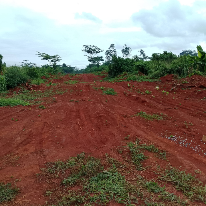8000m2 de Terrain à vendre Yaoundé -Nkolondom après le Carrefour 4