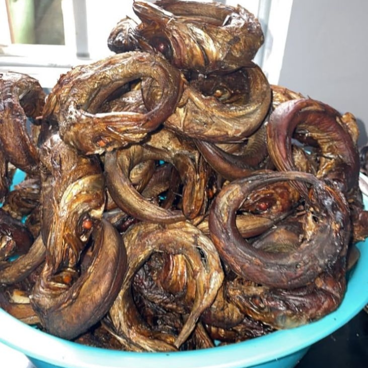 panla fish
