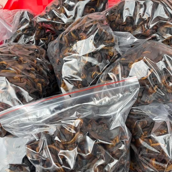 Dried snails
