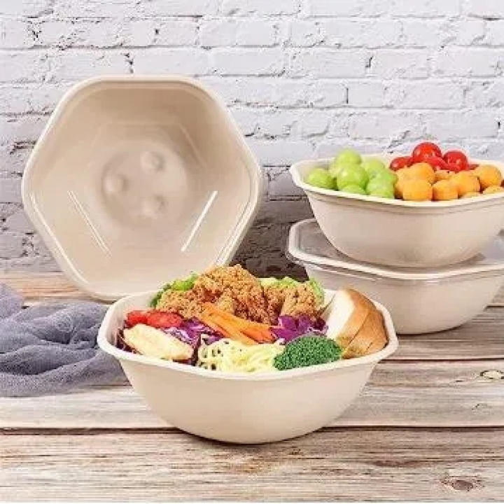 Biodegradable Disposable Sugarcane Bagasse Paper Pulp Mould Soup Salad Bowl With Lid