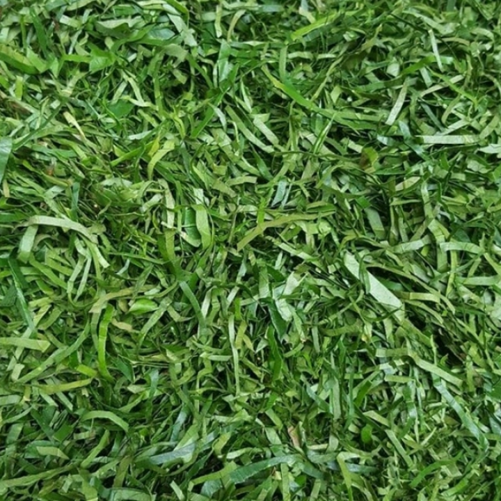fresh Eru