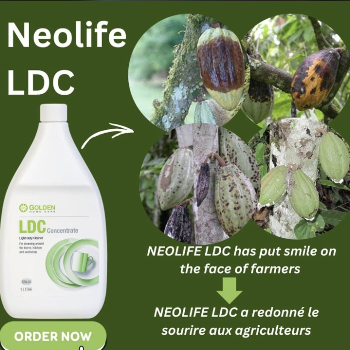 LDC