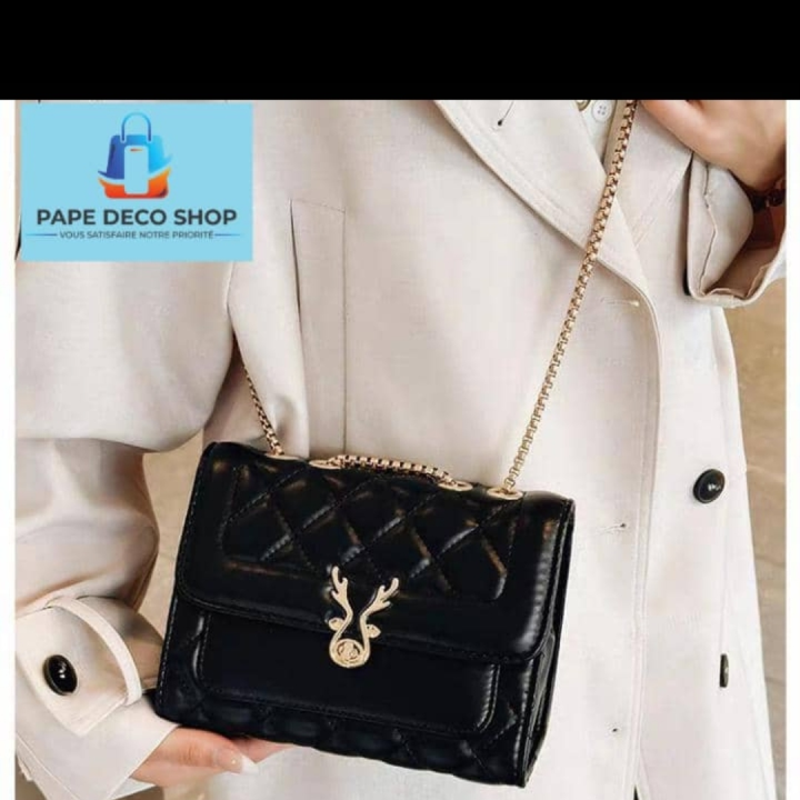 petit sac chic