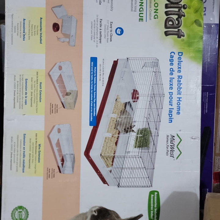 Home for pet