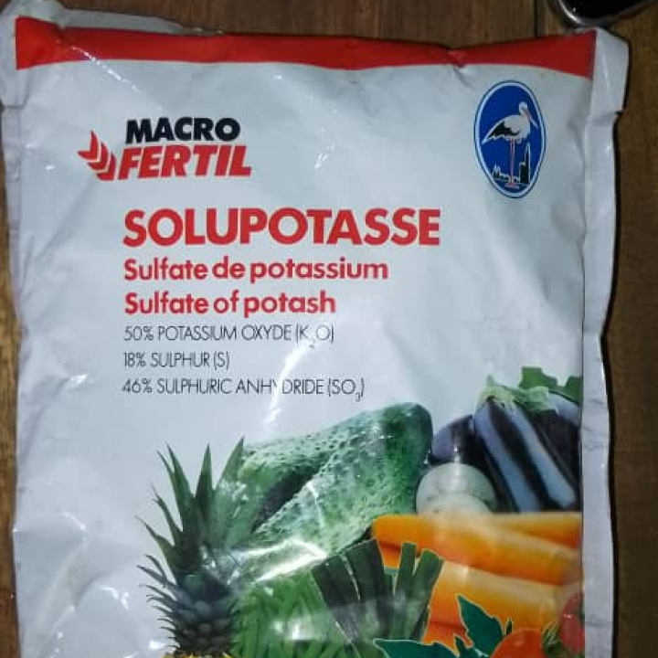 Solupptasse