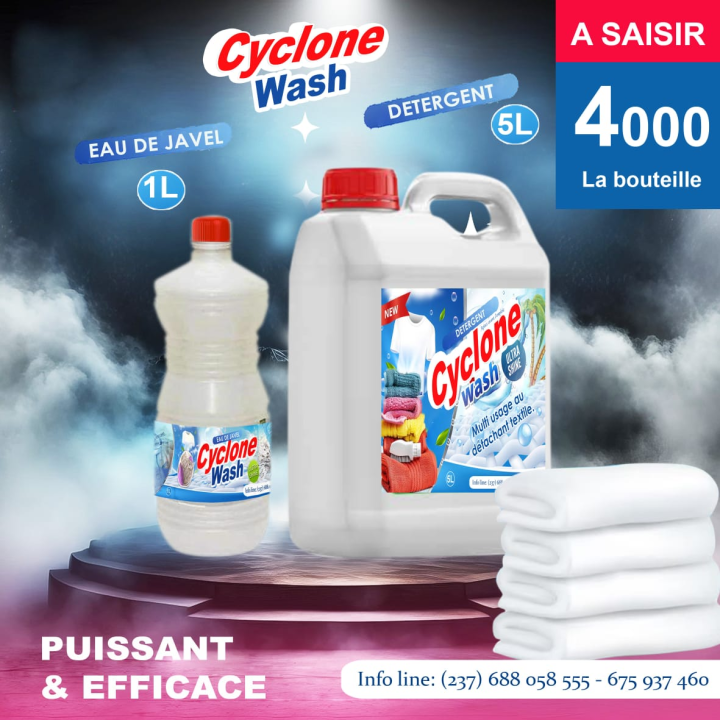 Cleaning kit