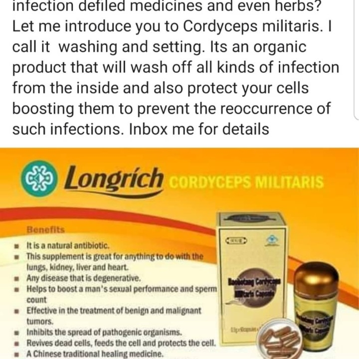Cordy ceps militars