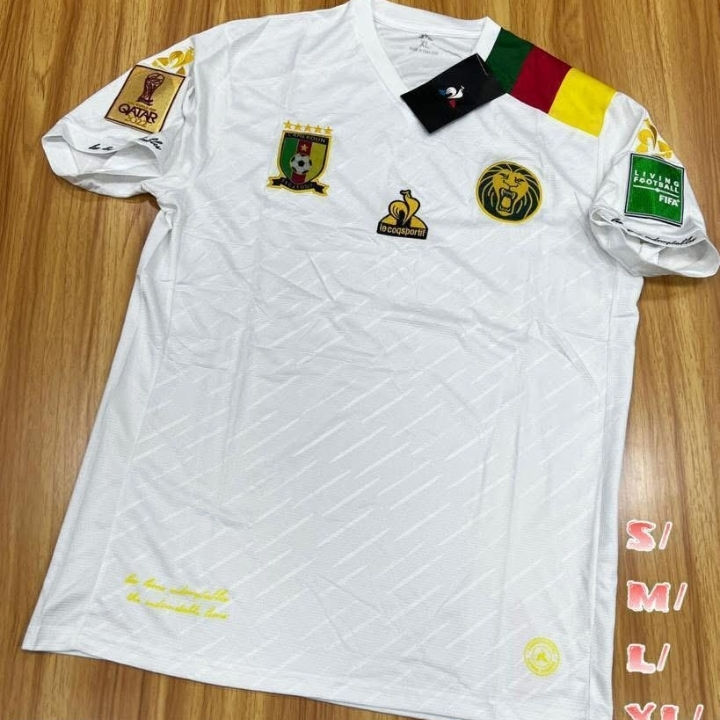 Maillot des Lions