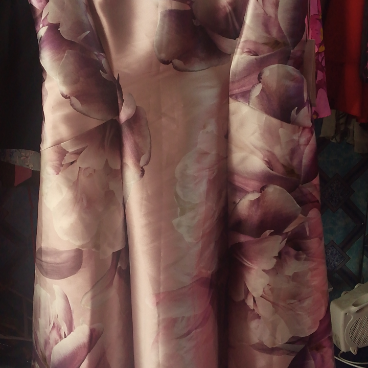 women's dress