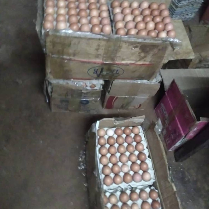 eggs