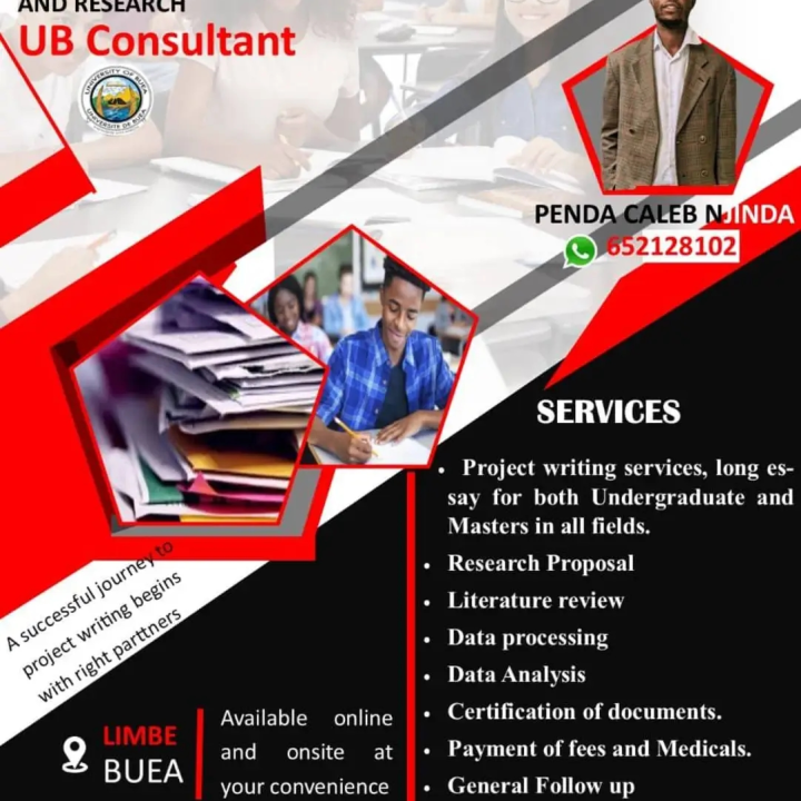 Project writing and data analysis in any university