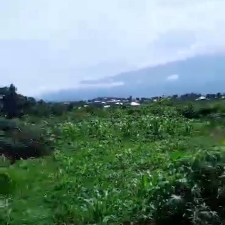 LAND