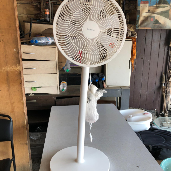 Electric Fan