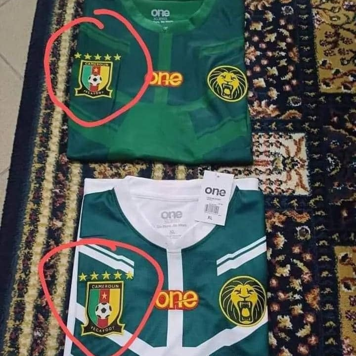 maillot Lion