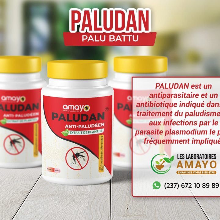 paludan