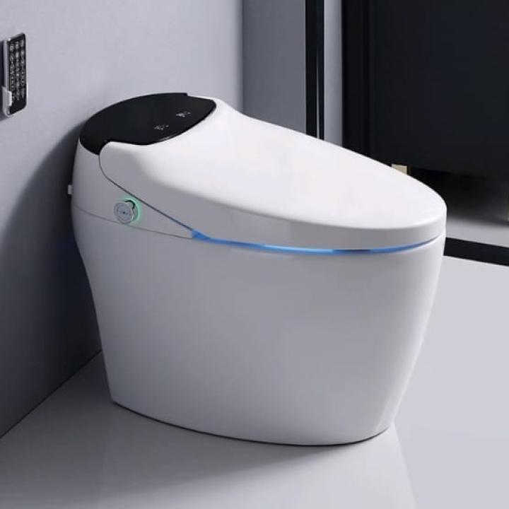 Ceramic Toilets