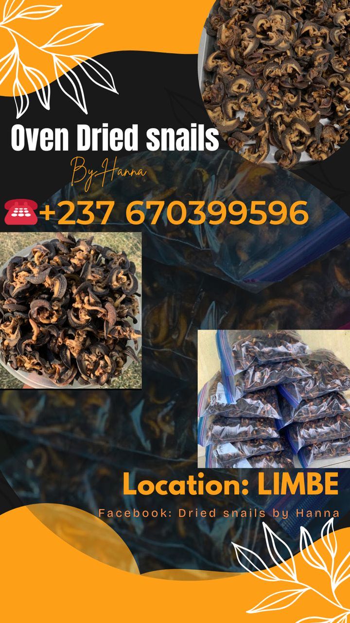 dried snails by Hanna
